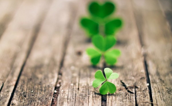 运势|恭喜！7月末开始运势最佳，财运升温，事事顺心，全家享福的生肖