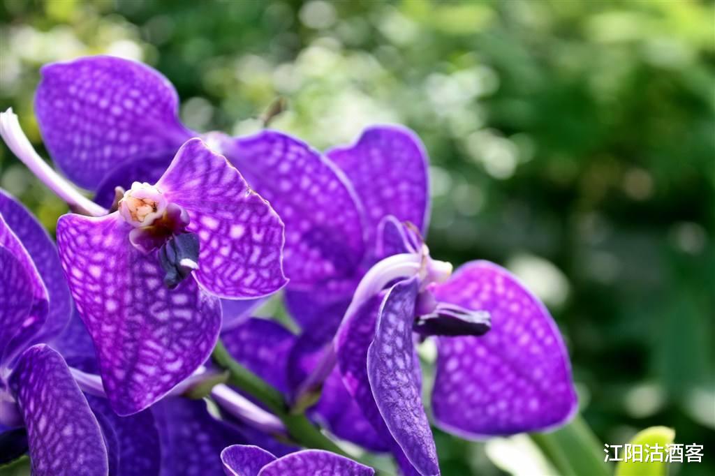 生肖@恭喜!6月24号横财到了,有望发3天横财,咸鱼大翻身