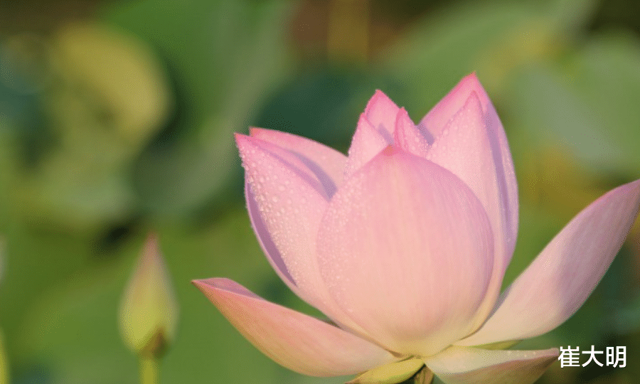 #吉星#七月开始：财利丰厚，吉星相助，聚财如雨的生肖