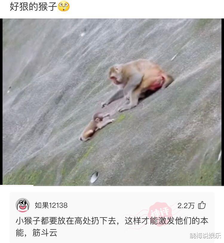 |“大白天的，为什么都把窗帘关上了？”神评信息量大，要细细品才行！