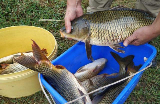 |老钓手一定比新钓手更厉害吗？别被忽悠了