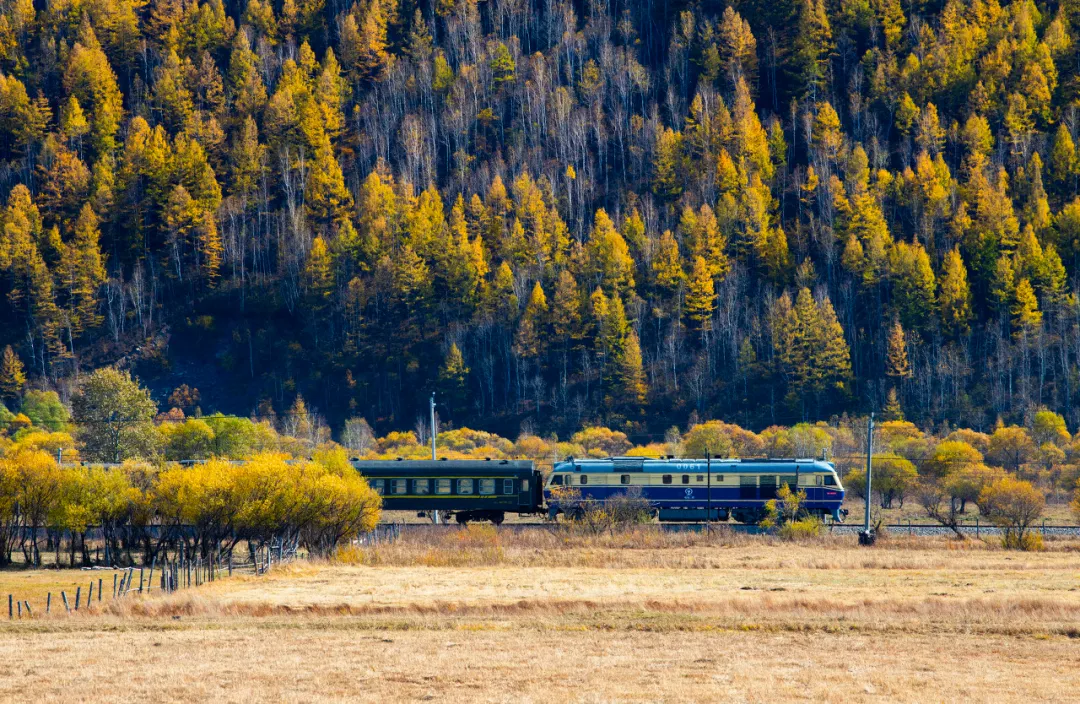 长白山|秋天的东北藏不住了，一组照片流出后，全世界都被惊艳了！