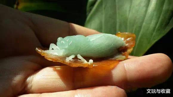#翡翠#把一块普通的翡翠原石雕刻一只“蝉”，是不是感觉玉石雕刻很简单