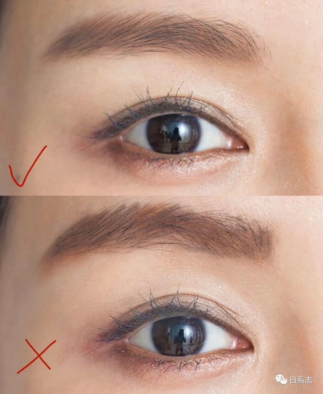 眉粉|画了那么多年眉毛，这3个知识点最近才知道