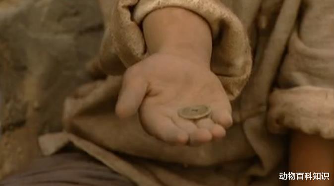 日军|雍正王朝：年羹尧临死前和小牧童下棋输了一枚铜钱代表着什么