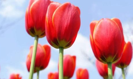 运势|3大属相11月中旬,正财提升,将会有贵人指点,福寿延绵