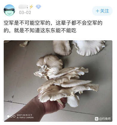 港珠澳大桥|港珠澳大桥上钓鱼？钓鱼佬的沙雕，你根本想象不到