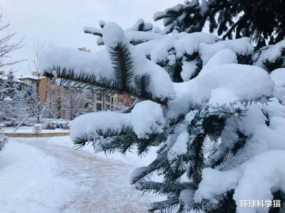 拉尼娜|10月拉尼娜持续发展！冷空气活动频繁，今年是个“冷冬年”？