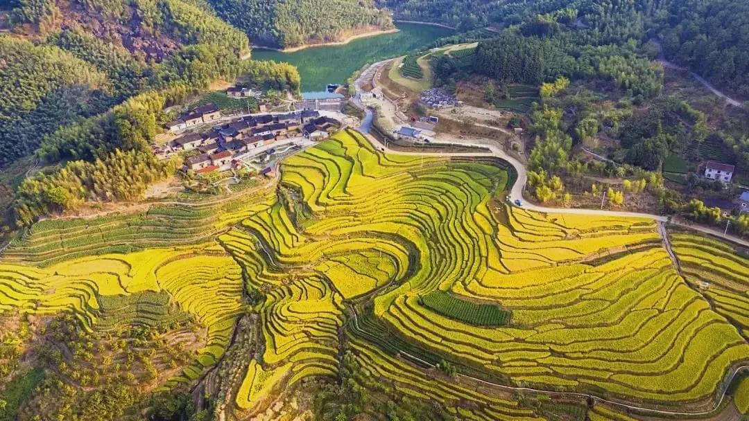 南平|衢宁铁路开通！南平宁德美景霸屏，每一站都惊艳！