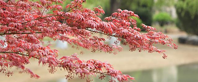 『招生』这所“很特别”的部属大学，女生是男生的好多倍，二本就能上