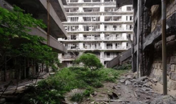 「科学家」科学家认为人类不再是地球的主角,能替代人类的高智商生物已出现