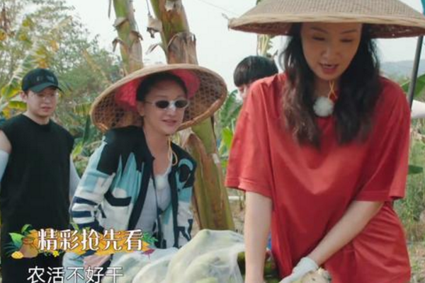 黄磊@《向往4》来了真正的大牌，穿5万衣服干农活，赖着不走黄磊默许