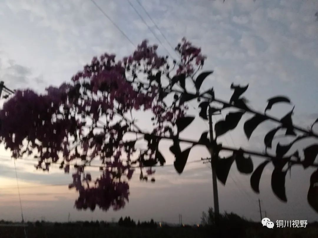 铜川周春辉 终南山下美丽乡村，余下镇后寨村