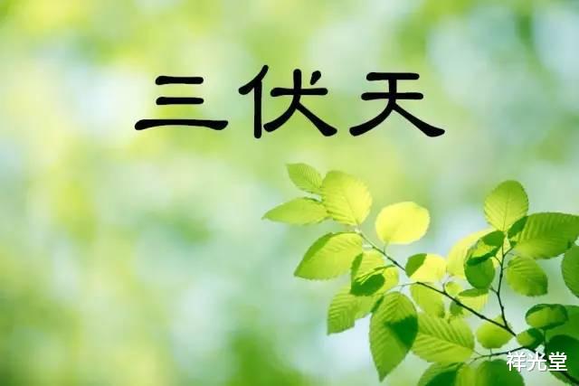 三伏天|三伏天是脑梗“高发期”，医生告诫：血管最怕4事，劝你及时避开