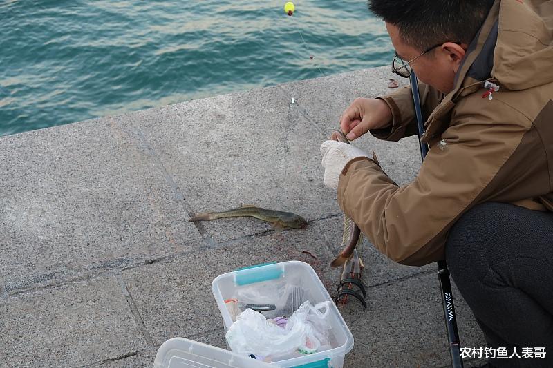 |秋季自然水域鱼情好，野钓为什么频频跑鱼呢？老钓友来告诉你原因