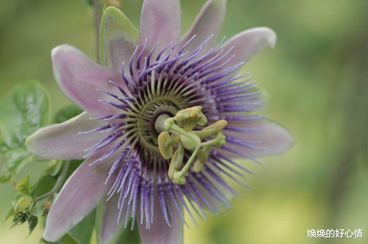生肖|九月中上旬，桃花运旺盛，脱单遇到真爱，缘定今生的4大生肖