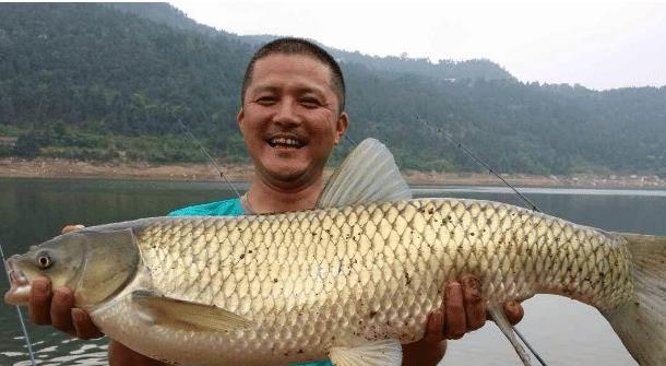 「烤鱼」这3种鱼尽量少吃，不仅营养少，或许还有垃圾残留，转告家人吧