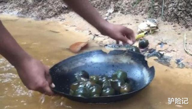 卡尔·萨根：中国被禁止食用的物种，蕴含多种寄生虫，却成为了越南人的抢手货