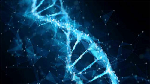 「科学家」人的极限寿命有多长?科学家研究基因得出一个数值,至今无人打破