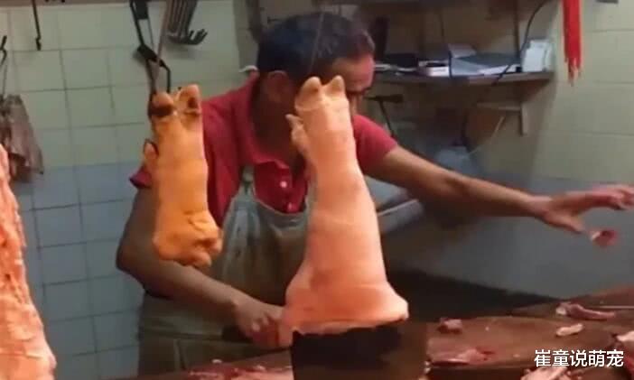 猪身上最脏的2部位，有大量寄生虫，很多人贪便宜，傻傻买来当美食
