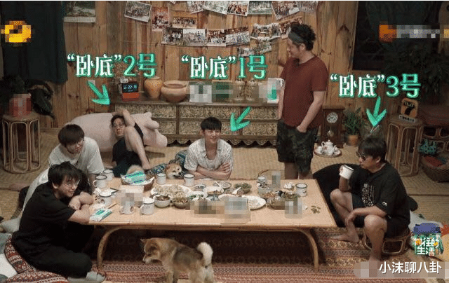 倪萍|《向往的生活》岳云鹏被吵醒后一脸不耐烦,黄磊的话却颇有深意!