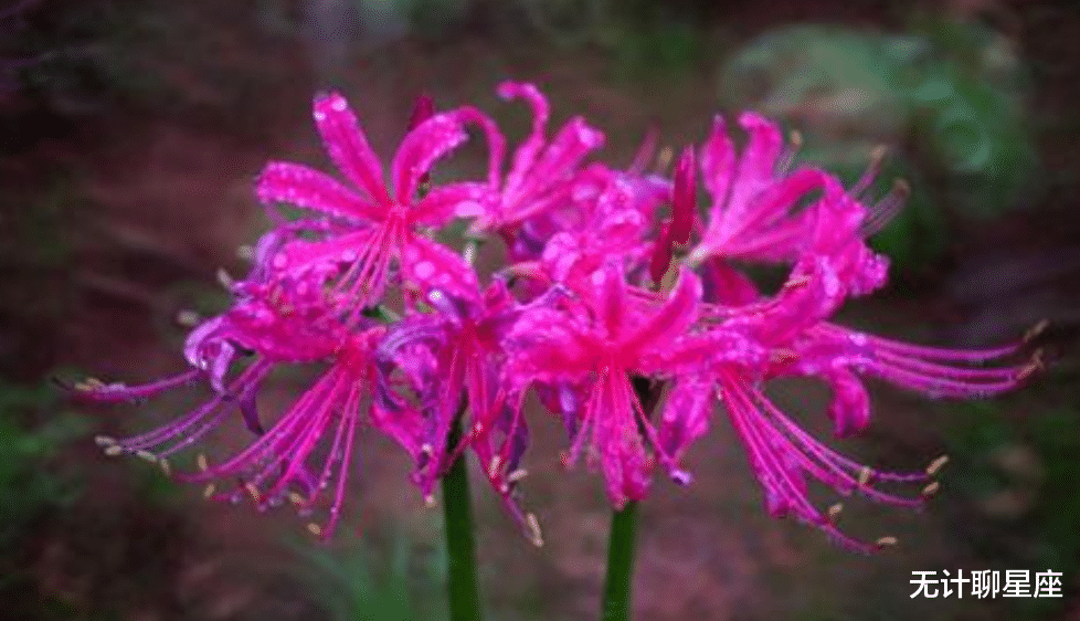 运势|十月份，事业上迎来高峰的4个星座，顺风顺水，收获良多