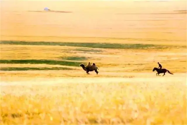 自驾|全国最早一波秋色来了！这6条自驾路线，9、10月美成天堂