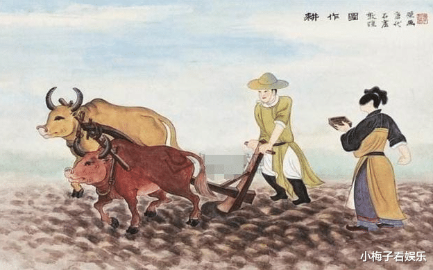 「历史揭秘」为什么古代没有土地的农民不自己开荒？