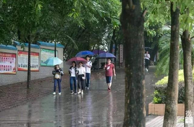 ▲是高考的诅咒？还是每年的6月8日都会下雨？