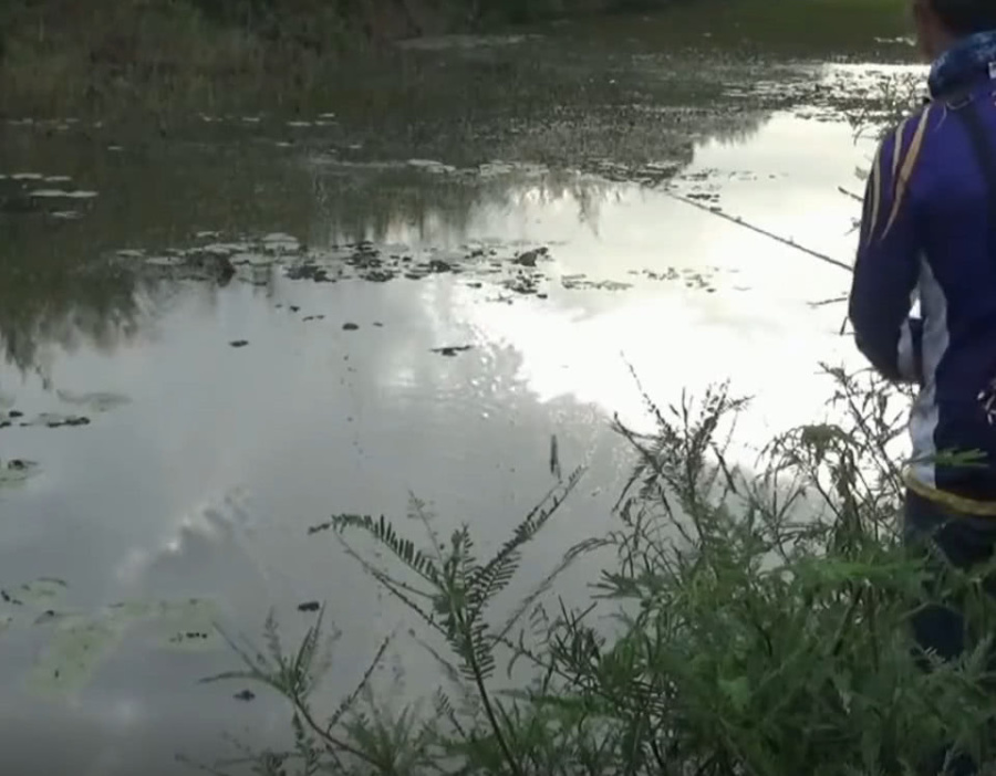 「」男子河中钓获五斤重铅笔鱼，拿在手里细看后决定打包带回！