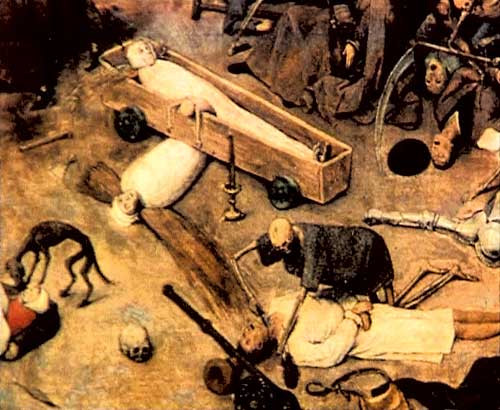 「狂犬病」新冠病毒是否会导致世界末日？人类还能撑到到明年后年吗？