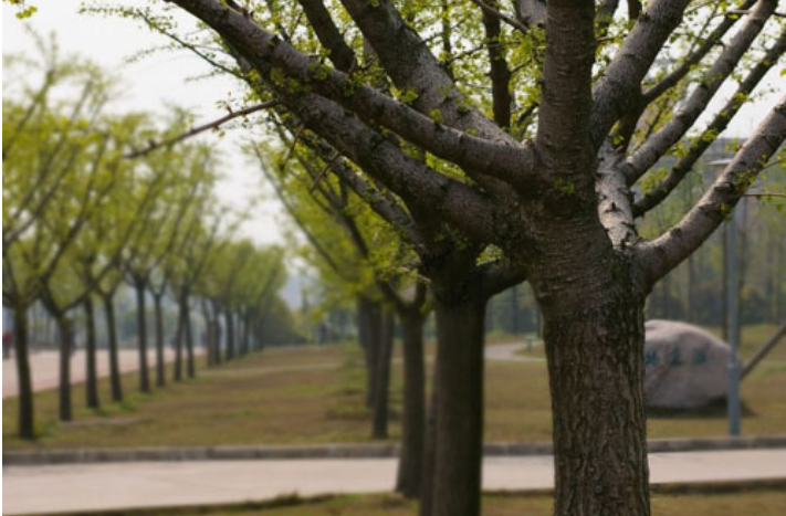 杭州师范大学|一个省内两所“顶尖”师范大学, 实力都很强悍, 但谁是老大争议很大