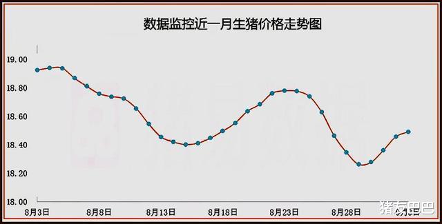 大地震|猪市“大地震”，东北猪价“一片绿”，跌势要向南传导？答案来了