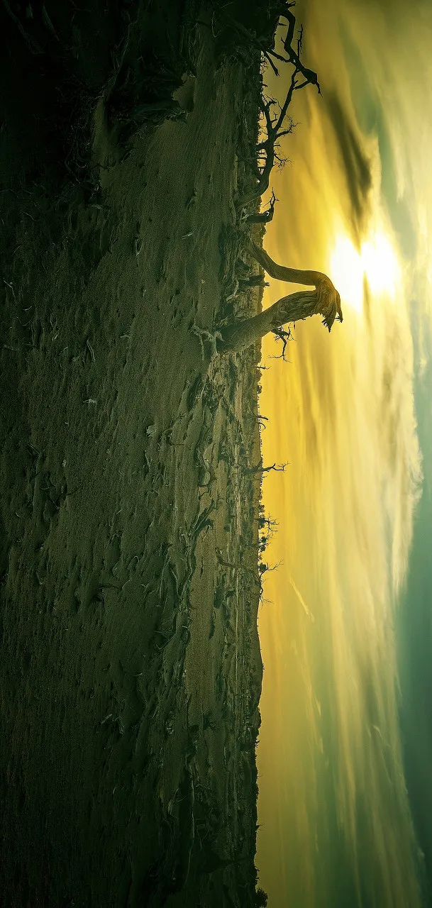 额济纳|忽然,想去额济纳了