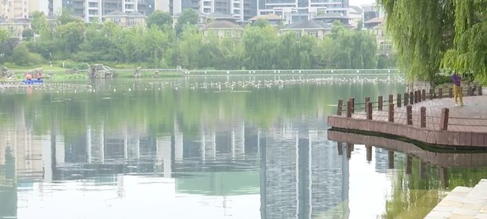 贵阳网|贵阳大叔跳湖救人，两部手机废了！目击者：手机我们买！