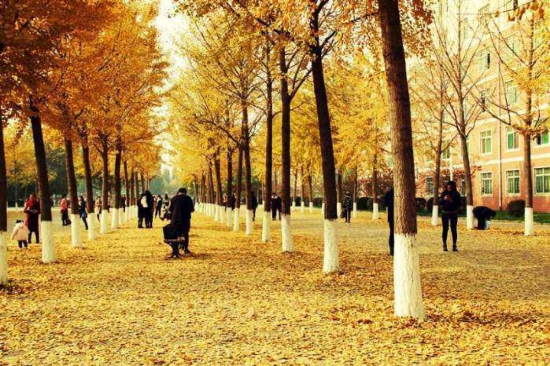 河北大学|2020年“最惨”的重点大学,录取分数线下降197分,网友:后悔没报