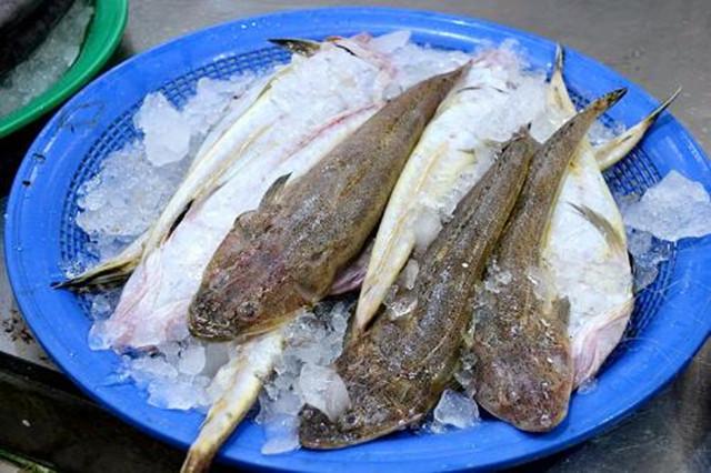 潮汕|这鱼在我国不值钱，只有潮汕人懂它的价值，到了日本却变成高档货