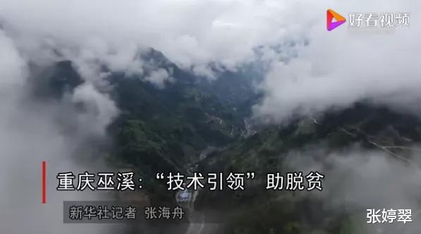 美国：触目惊心，这才是美国黑人被歧视的根源