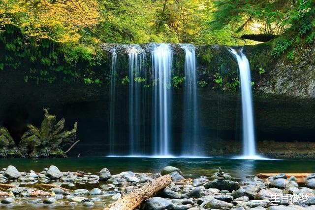 『生肖』未来6个月,横财常常来,黄金遍地等你争取,4属相财运水涨船高