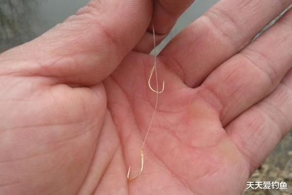 ▲夏季钓鱼，子线的选用技巧，科学的选择子线长短，钓鱼事半功倍！