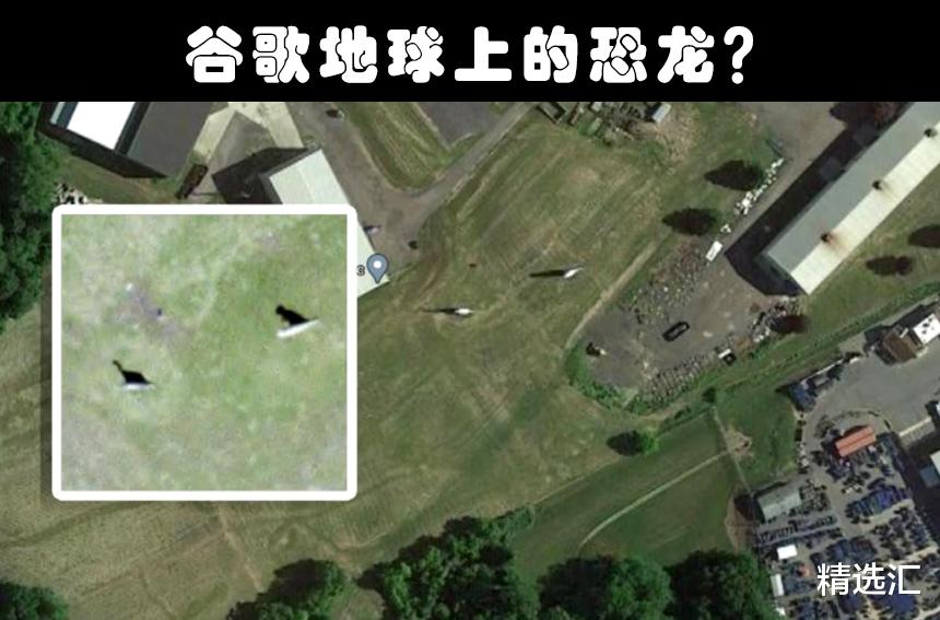 谷歌地球|在谷歌地图上，被人们发现的9种可疑的奇特生物