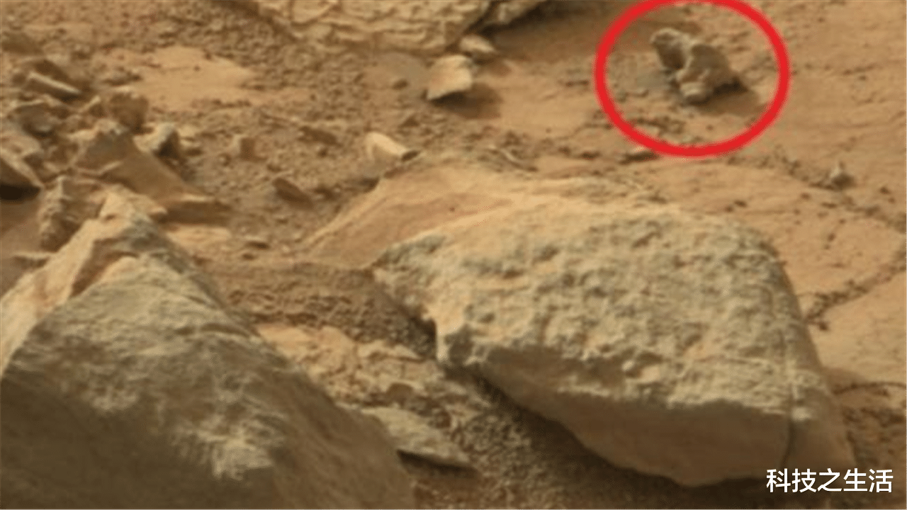 火星|美国机遇号拍到的!火星出现“蜥蜴”,1千多个洞穴里有生命?