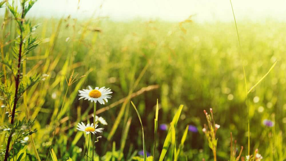 运势:未来两个月,贵人运特别旺盛,能够如虎添翼的三大星座
