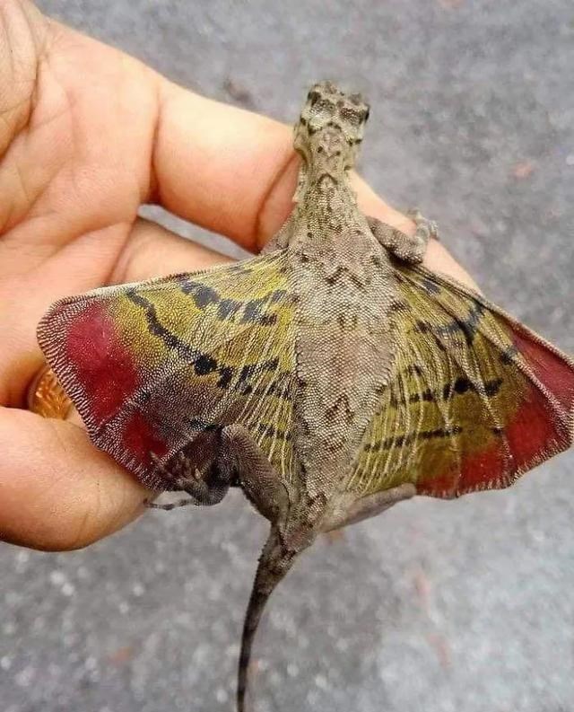 「」一组让你大开眼界的自然场景，最后那张图是不是骗到你了？