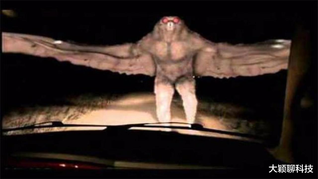 美国|天蛾人真的存在?1967年的美国大桥坍塌事件,百人声称看到天蛾人!