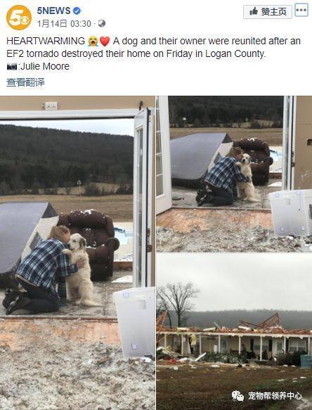 飓风来袭，狗狗死活不肯离开，房屋摧毁后，竟接连发生奇迹！