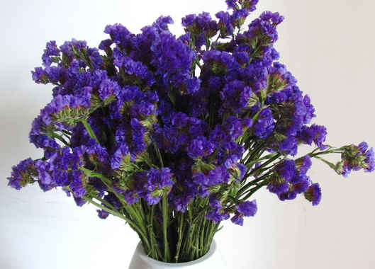 「生肖」5月中旬,4属相吉星进门,接住好运,福气深厚,运势上上签