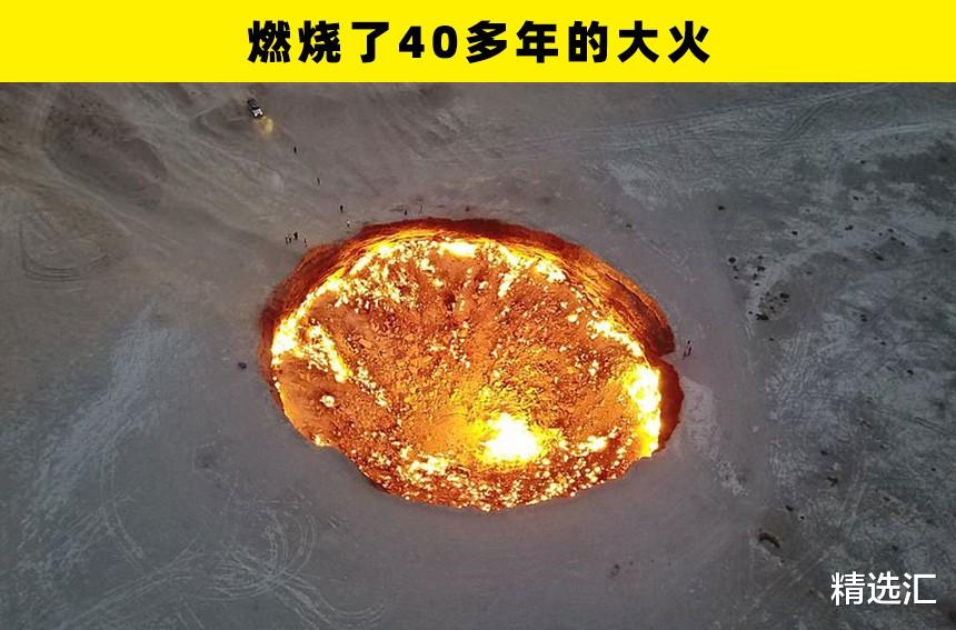 瓢虫|冷知识普及:在这个世界上,所存在着的7个惊奇事实