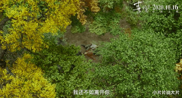 徐克|从什么时候开始，平凡生活已经等于“走投无路”了？