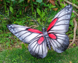 「科学家」传说中的血雨真的存在吗?为什么会有血雨出现?科学家给出答案